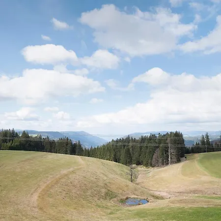 Rombachs Ruheckle Apartment Titisee-Neustadt