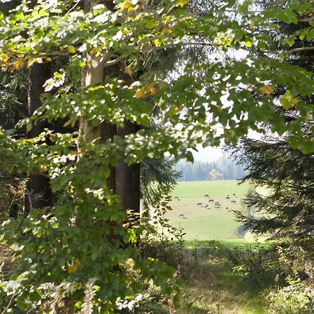 Rombachs Ruheckle Appartement Titisee-Neustadt