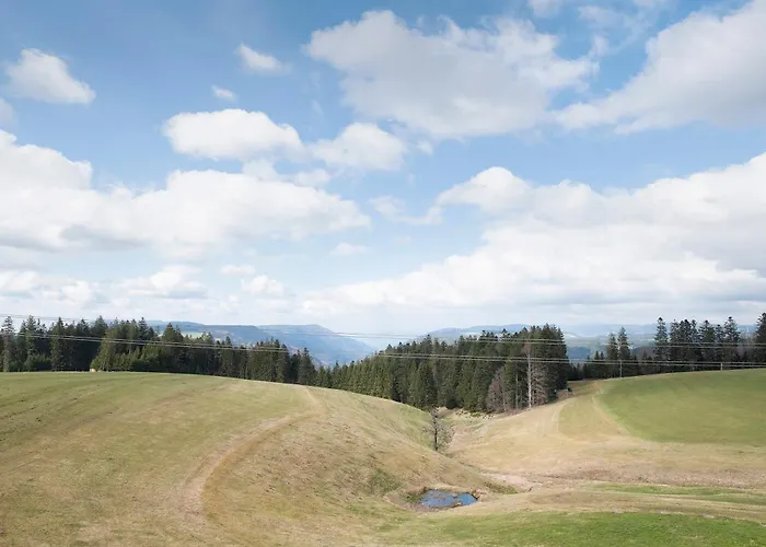 Rombachs Ruheckle Апартаменты Титизее-Нойштадт