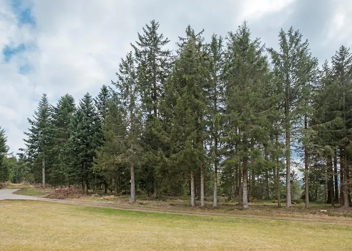 Rombachs Ruheckle Апартаменты *